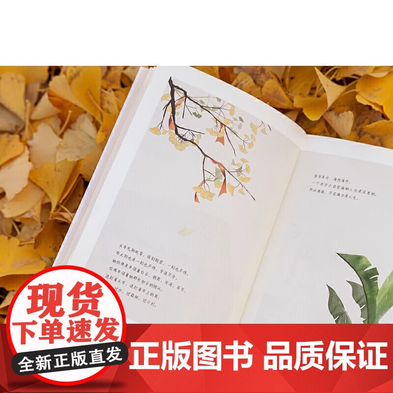 [正版]时间从来不语却回答了所有问题 文学大师季羡林百岁人生智慧精粹 日子不慌不忙我们来日方长糊涂一点潇洒一点游戏人高清大图