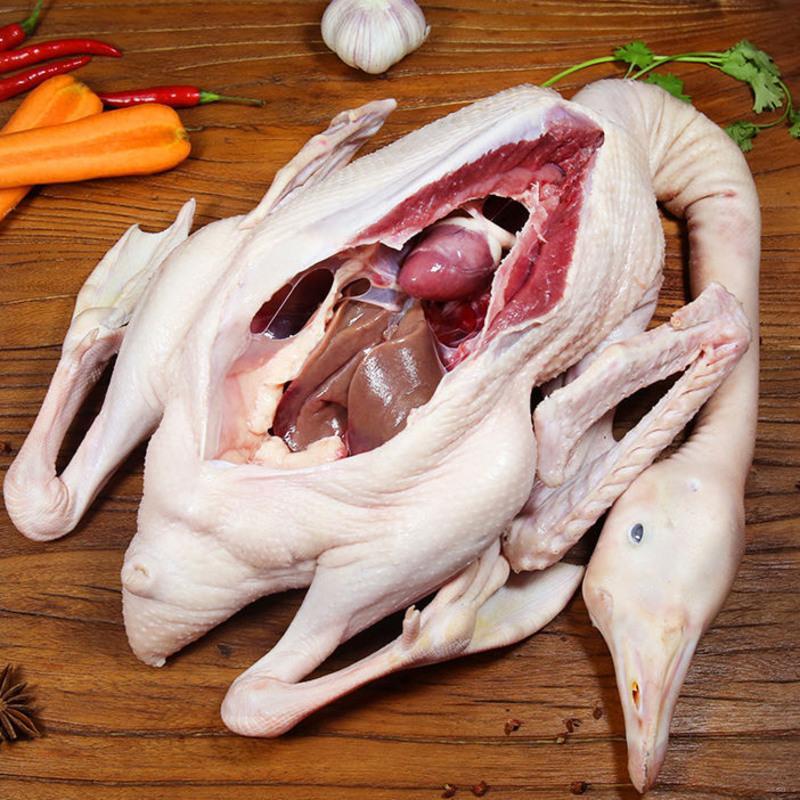 赛卡伊现杀现发农家散养大白鹅老鹅土鹅青年鹅整只鲜活鹅鹅肉滋补现杀