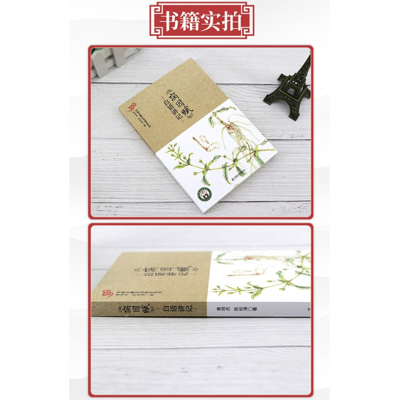 [正版]病因赋 白话讲记 曾培杰 陈创涛 著 中医古籍白话普及系列 中医 夫百病之生也 各有其因 中国科学技术出版社