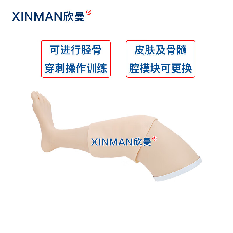 欣曼科教 胫骨穿刺模拟训练模块 骨髓腔穿刺输液训练模型XM-GC4高清大图