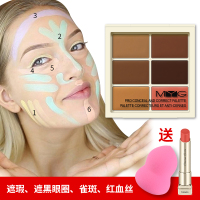 GP900遮瑕膏 六色修容膏粉底膏遮暇膏 修饰肤色 立体遮瑕膏 04#