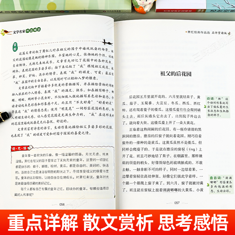 [7]鲁迅作品精选 [正版]名家散文集精选小学生散文读本朱自清老舍经典文学作品全集冰心鲁迅叶圣陶四年级课外书必阅读老师推高清大图