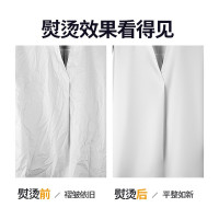 美菱(MeiLing)蒸汽挂烫机家用 挂式电熨斗挂烫蒸汽机手持烫衣服挂熨烫机旅行迷你小巧便携熨衣机MG-S608