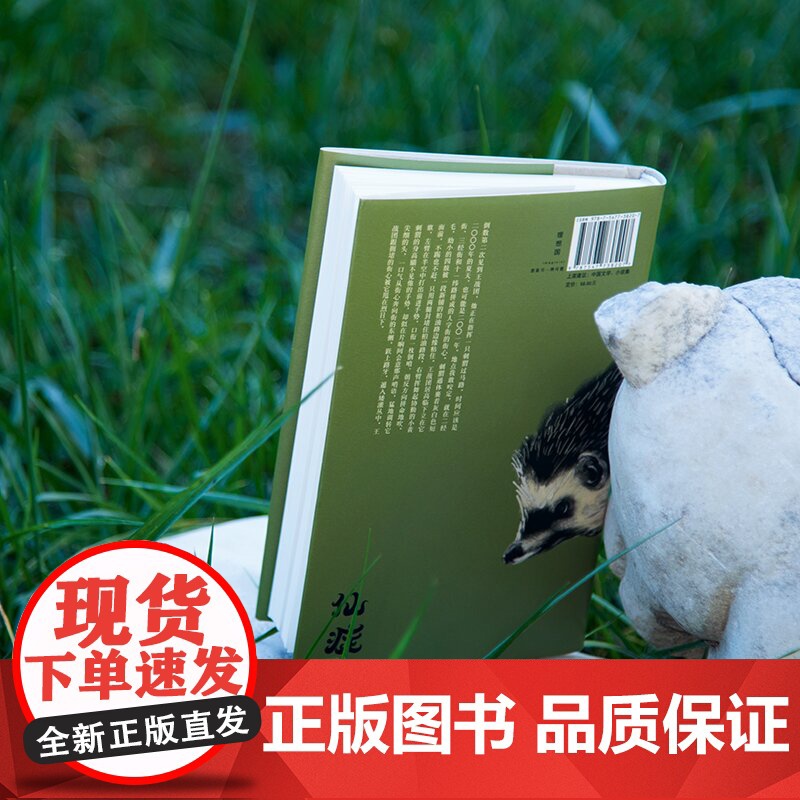 王俊凯葛优主演刺猬原著 仙症 郑执作生吞全新作品 顾长卫倾情推 荐匿名作家计划首奖之作中国文学小说作品集高清大图