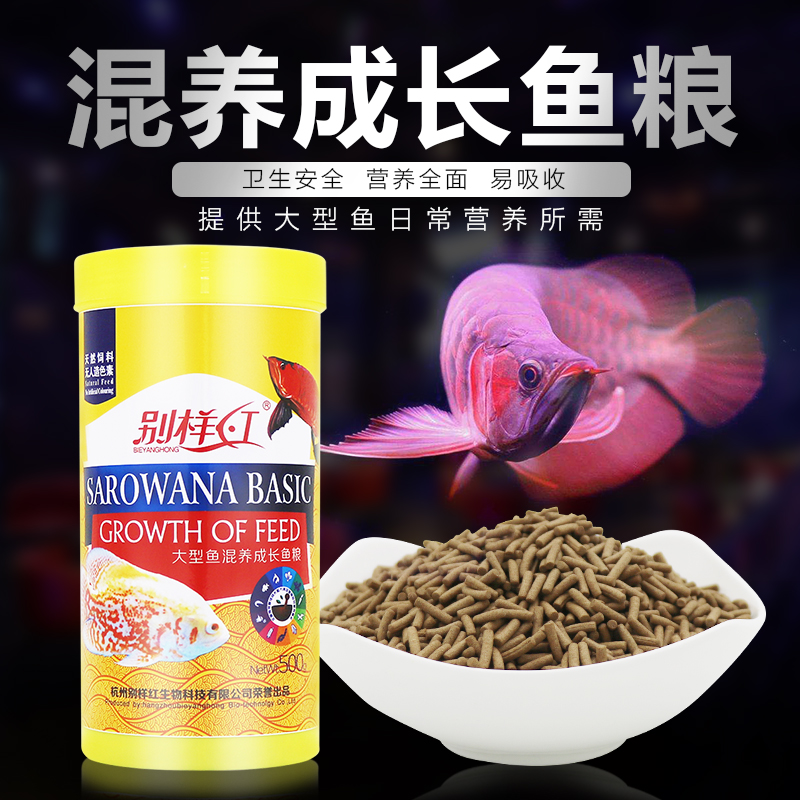 地图鱼罗汉鱼食银龙鱼饲料大型鱼混养血鹦鹉鱼发财鱼元宝鱼鱼高清大图