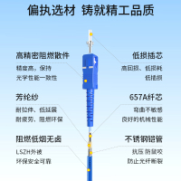 博扬 BY-K5111S 电信级铠装光纤跳线sc-sc 5米 单模单芯 抗拉压防鼠咬低烟无卤环保网线光纤线