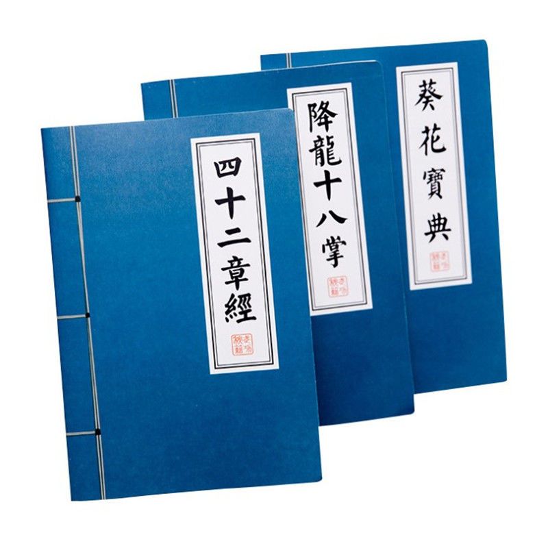 如来神掌九阴白骨爪打狗棒法葵花宝典个性武侠武功本子秘籍笔记 如来神掌