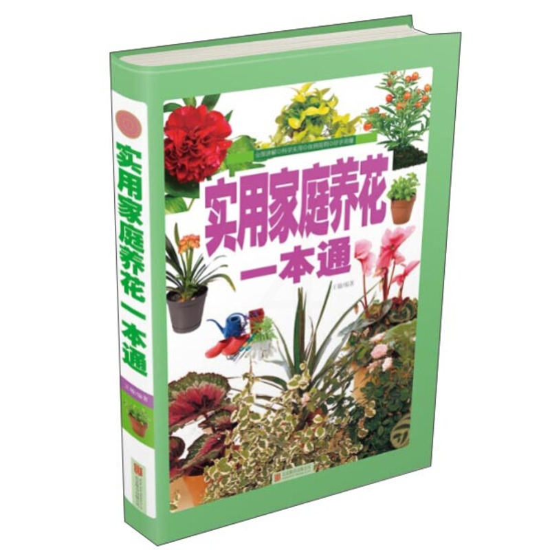 [醉染正版]实用家庭养花一本通 正版RT王敏编著北京联合9787550253056高清大图