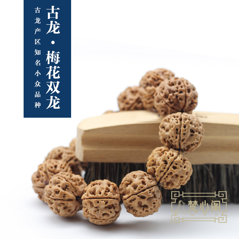 [梵心阁]古龙梅花双龙 蜂窝双龙高端5瓣尼泊尔大金刚菩提飞碟矮桩爆肉