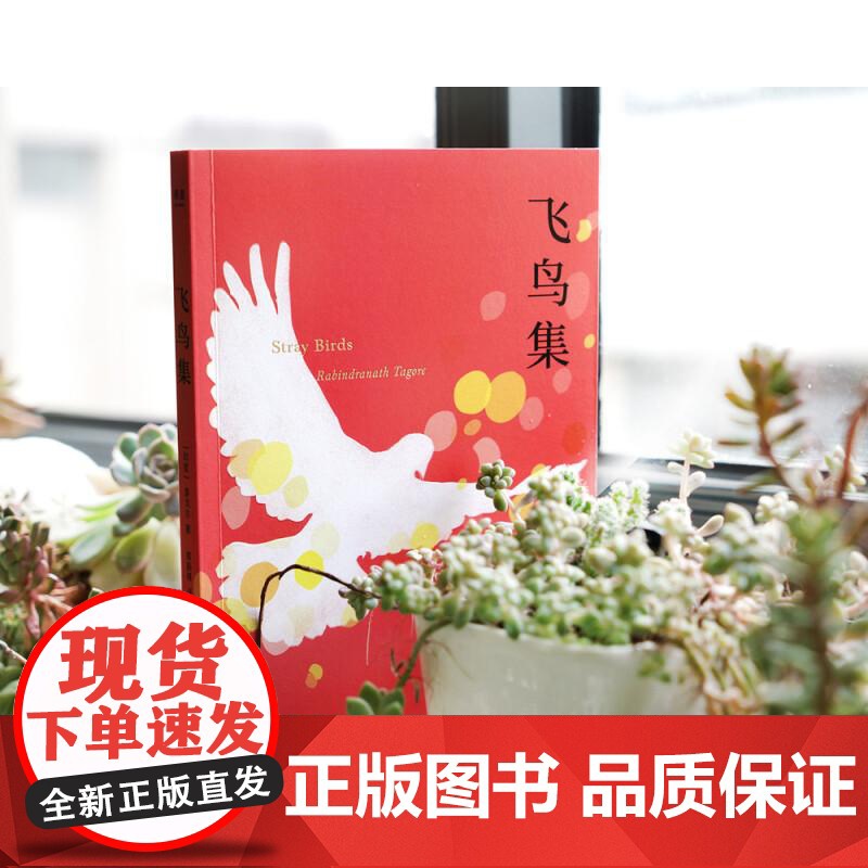 飞鸟集 2019中英双语 彩图注释版 完整收录 不删减 课外读物 郑振铎名家译本 诺贝尔文学奖 生如夏花 果麦文化高清大图