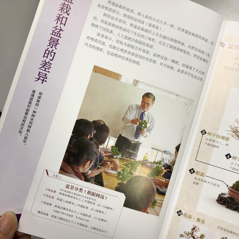 [醉染正版]树木盆景制作完全图解 盆景书籍盆栽书籍 盆景造型设计图盆景制作书养护书籍盆景艺术造型书树木盆景造型设计书高清大图
