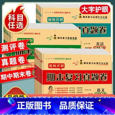 [单本/人教版]语文试卷 五年级上 [正版]一年级二年级三年级四五六年级上册下册试卷测试卷全套人教版语文数学英语期末复习