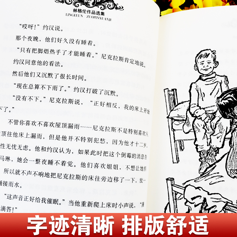 海滨乌鸦岛 [正版]新版林格伦作品选集·美绘版 海滨乌鸦岛 美绘版中小学生语文阅读外国儿童文学小说课外读物国际安徒生奖三高清大图