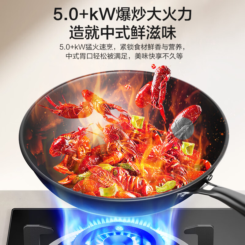 老板(Robam)星辰系列燃气炉燃气灶 双灶嵌入台式煤气灶 5.2kW可调节灶具换装不改孔20B0A天然气高清大图