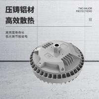 明特佳-Mintega FPD8504Y-L100 LED应急平台灯 100W 灰色 (单位:套)