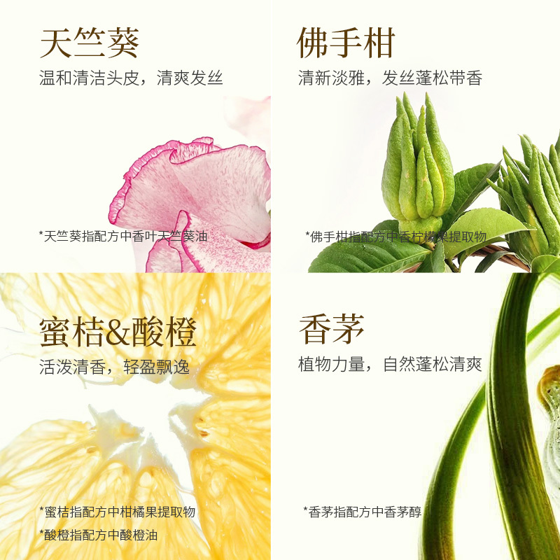 质心天竺葵经典天然精油洗发露