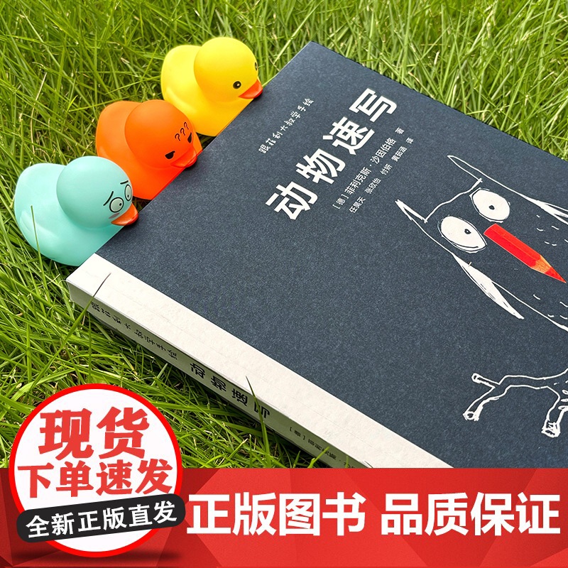 跟菲利大叔学手绘:动物速写 专注分享动物速写创作技巧艺术理念动物速写插画灵感来源 插画自学教学高清大图