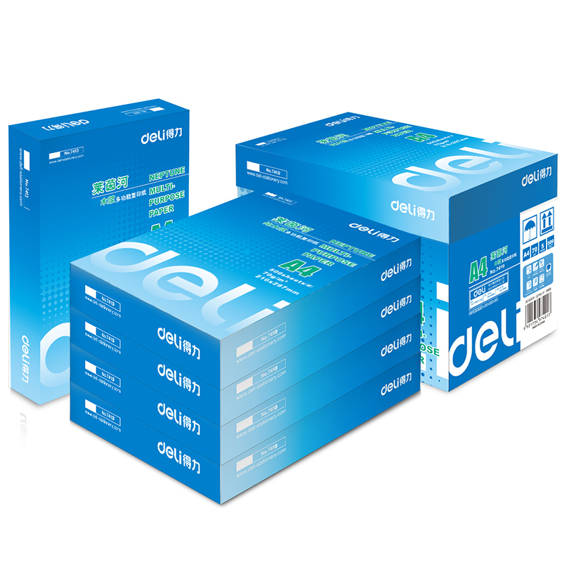 得力 (deli)7419复印纸莱茵河 a4复印纸白纸 5包/箱