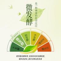 统一绿茶春拂绿茶真茶萃取0脂无糖微发酵茶饮料500ml*15瓶整箱装