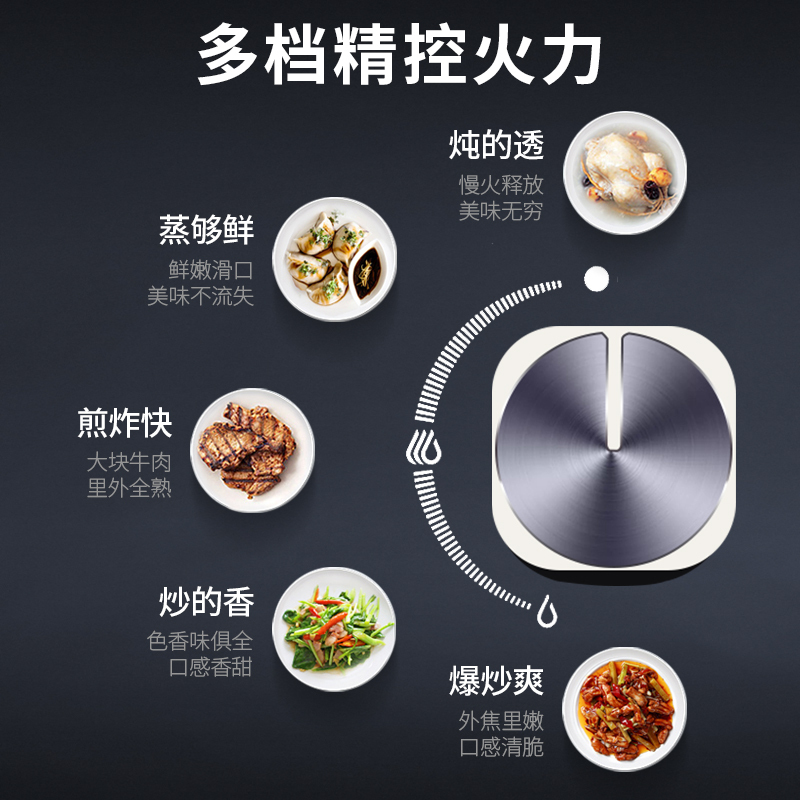 Haotaitai用心爱好太太燃气灶双灶家用嵌入式天然气炉灶台液化气台式 2192A燃气灶5.0kw大火-天然气
