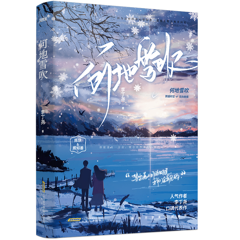 [正版] 何地雪吹 李丁尧 跨越时空双向救赎 年下姐弟恋青春言情OE结局 新增番外 晋江文学小说实体书高清大图