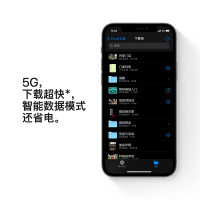 Apple iPhone 12 Pro Max 256G 石墨色 移动联通电信5G全网通手机 拍照摄影游戏大屏智能旗舰手机