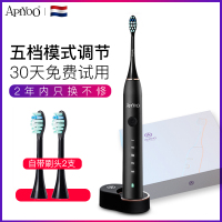 ApiYoo 荷兰艾优成人电动牙刷 G7 声波震动 充电式牙刷 情侣款男女通用(自带2支刷头) 黑色