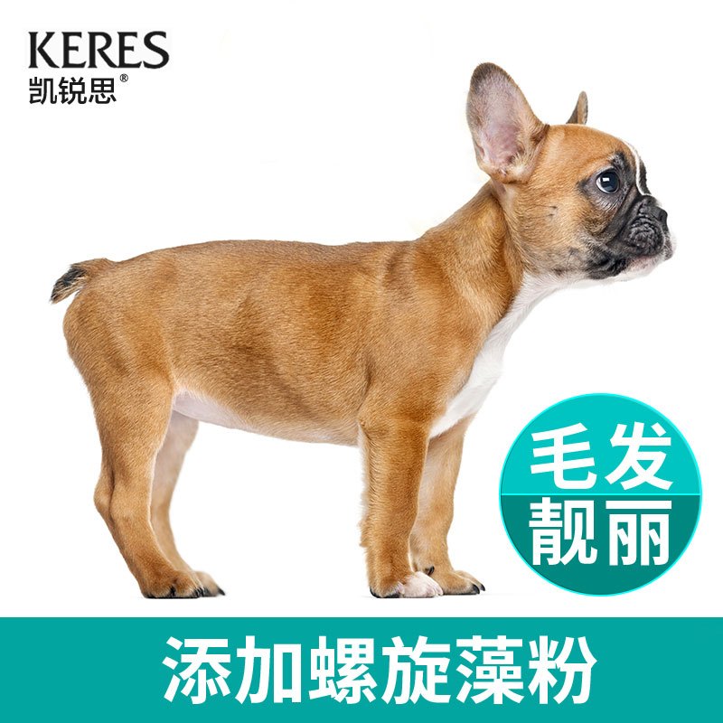 凯锐思法斗狗粮幼犬成犬专用法国法牛斗牛犬专用粮补钙2kg4斤