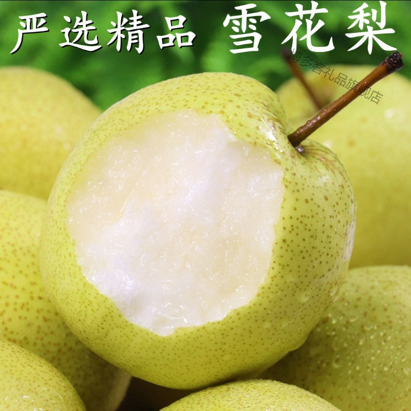 湛航河北大雪梨雪花梨10斤5斤3斤新鲜水果批发非水晶梨砀山皇冠梨