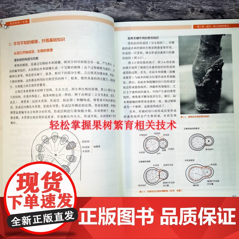 果树繁育一本通高清大图