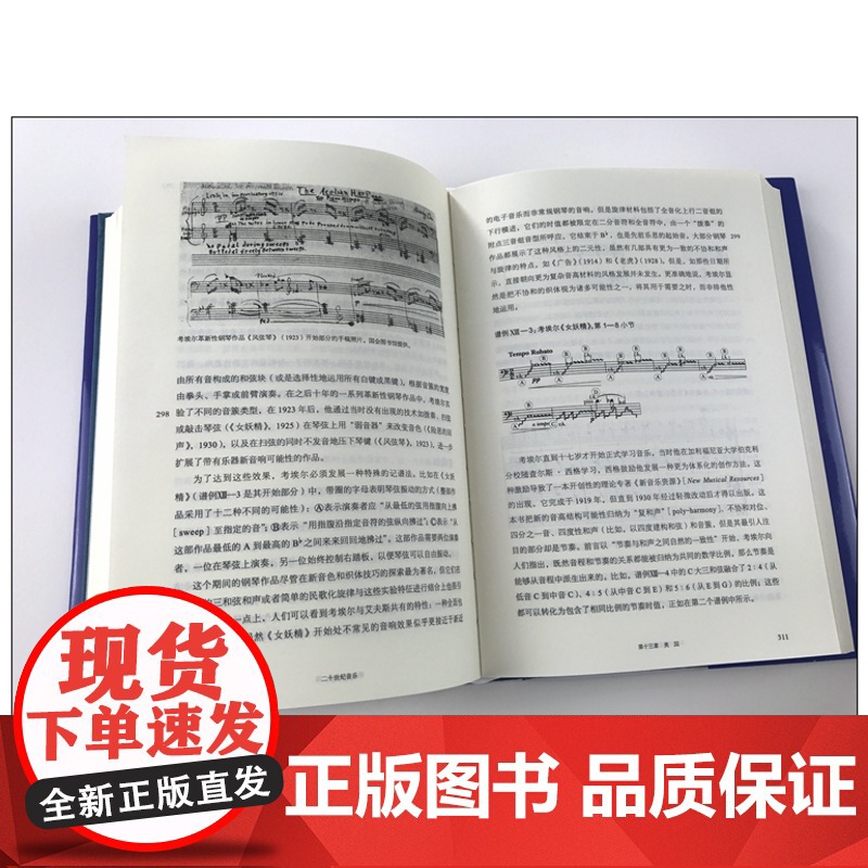 二十世纪音乐现代欧美音乐风格史 罗伯特摩根著诺顿音乐断代史丛书西方音乐文化加强中国本土的音乐文化建设 上海音乐出版社高清大图