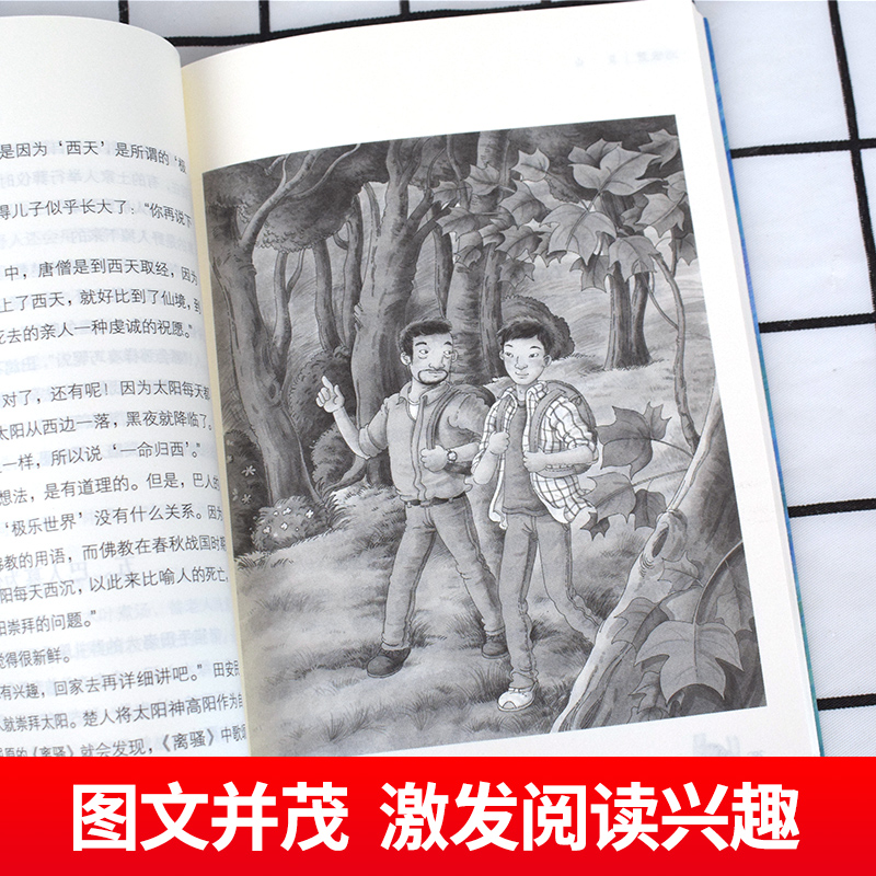 山鬼 [正版]全国儿童文学获奖作家书系-山鬼 董宏猷著 小学生课外阅读书籍三四五六年级经典书目老师3-4-5-6年级儿童高清大图