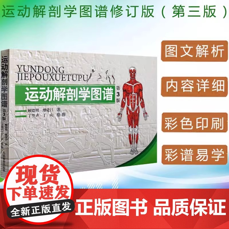 [正版]运动解剖学图谱 第3版 人民体育出版社运动解刨学运动医学书运动训练力量健身人体肌肉全面解剖图谱体育医学专业书籍高清大图