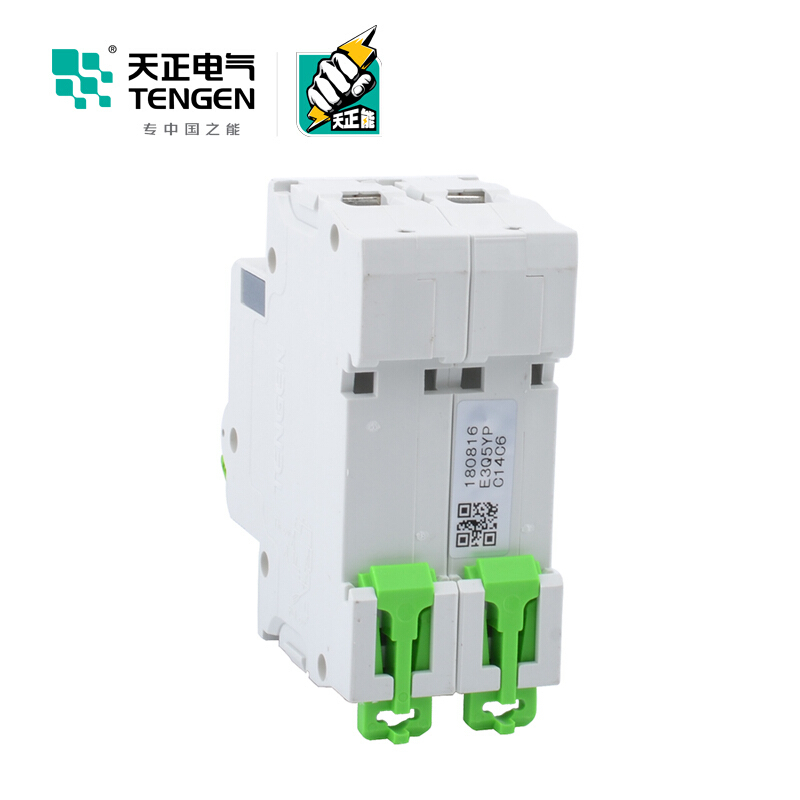 天正电气瑞彩系列TGBH-63 空气开关 6KA 2P C 63A 335013800042 微型断路器