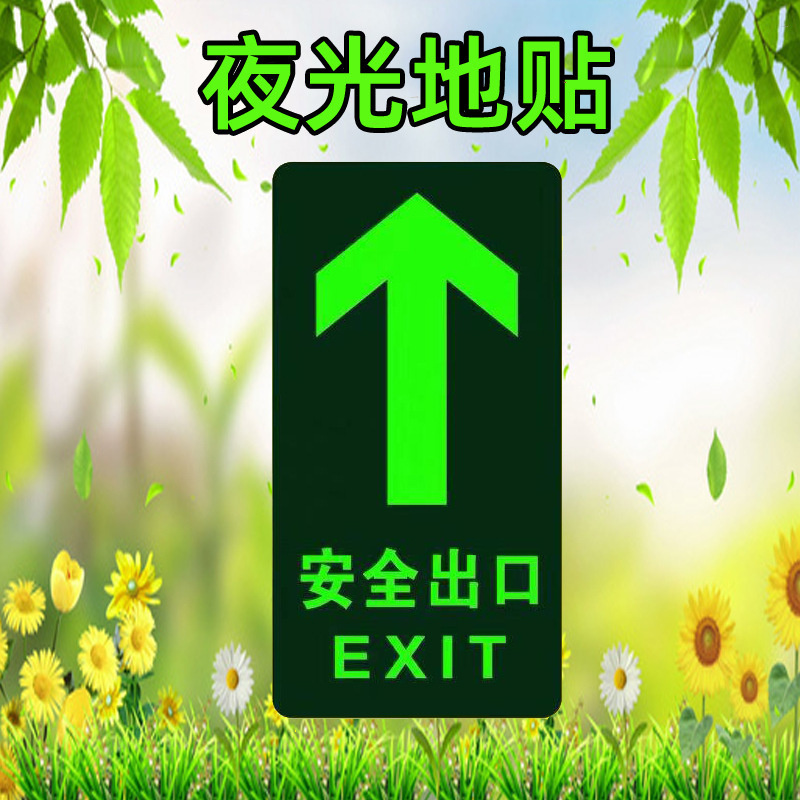 水龙珠(SHUILONGZHU)标识牌自发光 pvc箭头耐磨地贴墙贴145*295标识(一包10个装)花色可联系客服选配