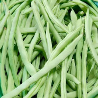[西沛生鲜]新鲜现摘四季豆 5斤 云南豆角农家自种应季蔬菜长扁芸豆子整箱炒菜
