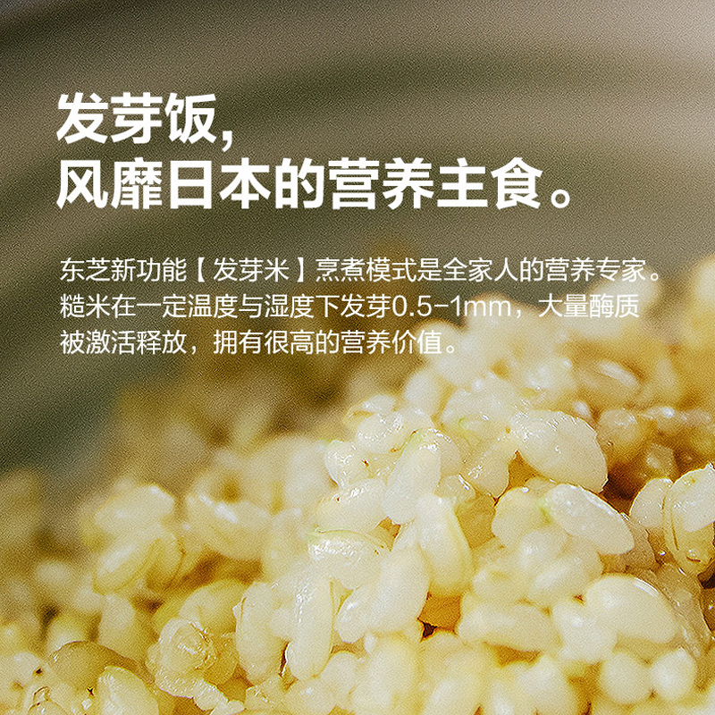 东芝(TOSHIBA)电饭煲家用4L电饭锅多功能大容量5人家用智能预约IH加热进口蒸煮电饭煲RC-15HT