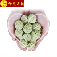 神芝王朝 绿萝花茶500g 西藏野生绿萝花 绿萝干花茶正品