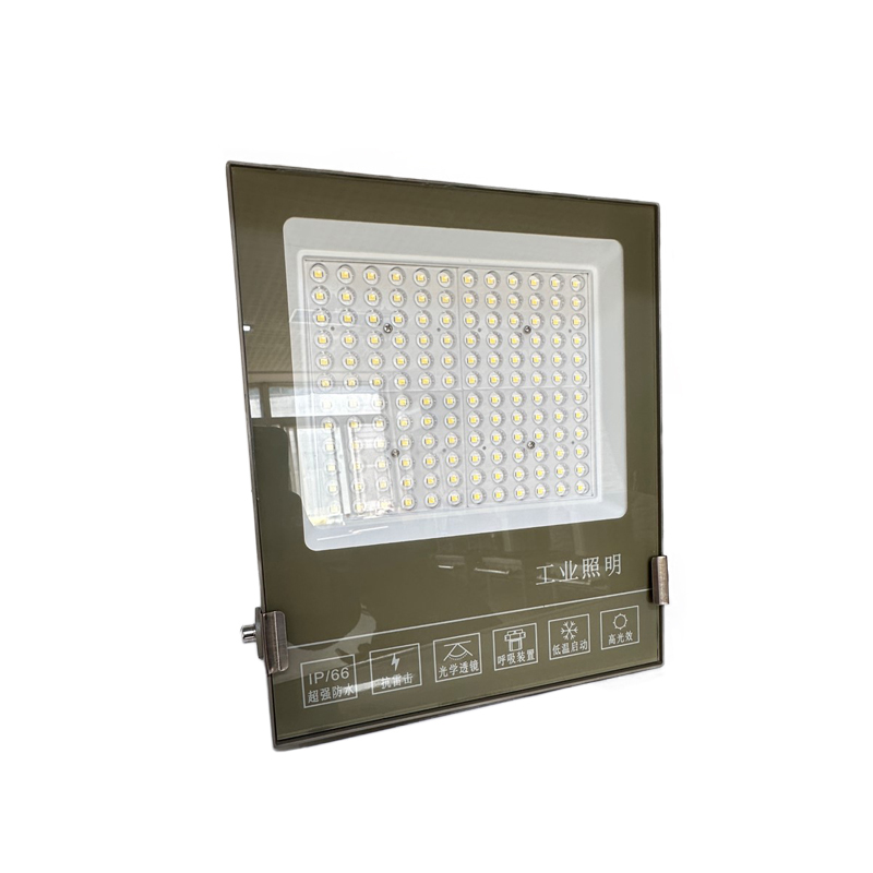 盛王盛荣固定式LED投光灯高清大图