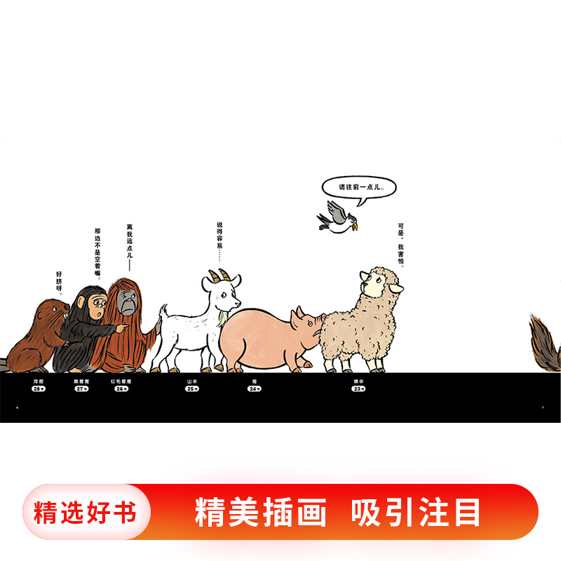 这是什么队列?(精装) [正版]这是什么队列精装图画书蒲蒲兰低幼绘本新世纪出版社50种动物排队趣味性与认知认识动物适合1高清大图