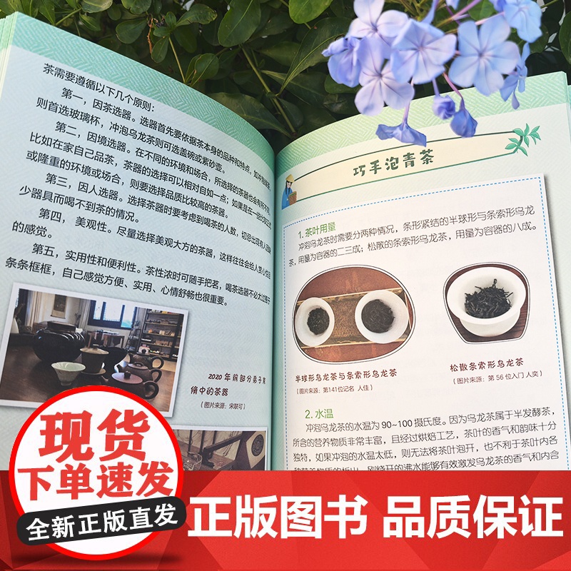 小茶人 青少年茶道礼仪教程 茶道等级考试教材 传统文化中国茶道文化青少年科普书籍青少年综合素质培养 茶道茶艺茶叶知识泡茶高清大图