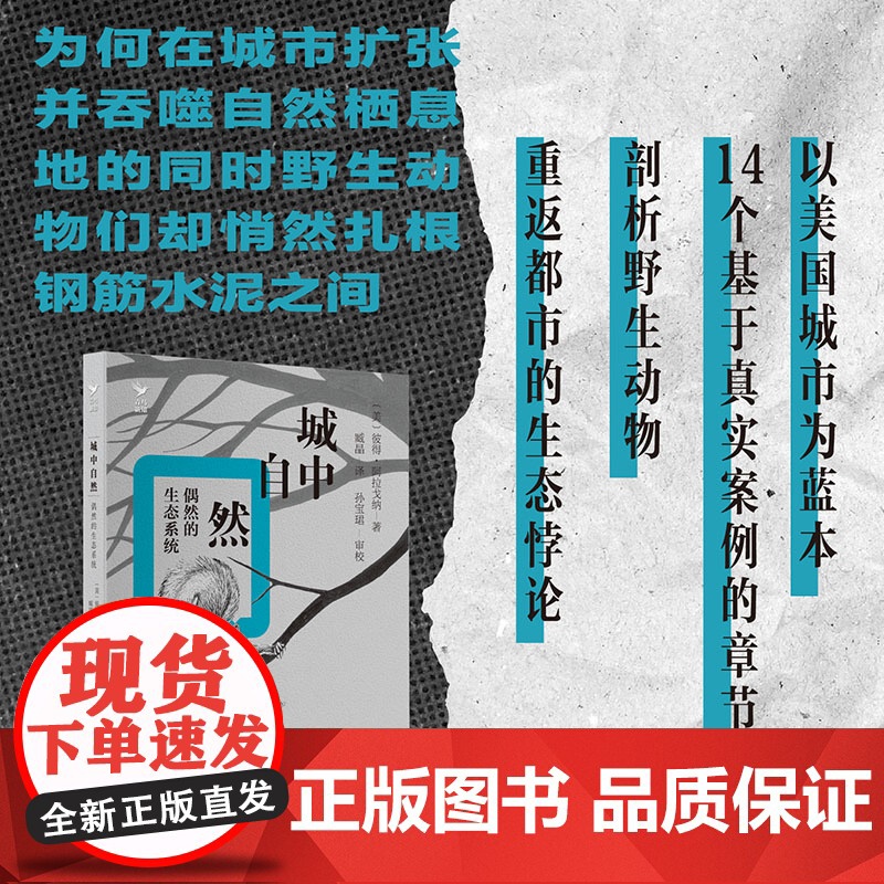 城中自然 偶然的生态系统高清大图