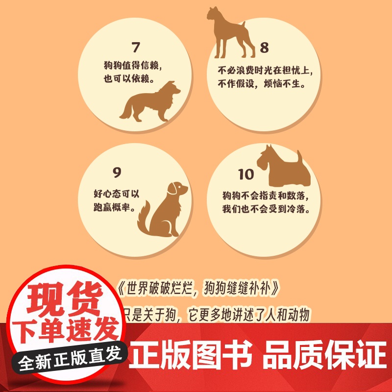 生活破破烂烂狗狗缝缝补补 成功励志疗愈减压人生励志狗狗的生活哲学宠物高清大图