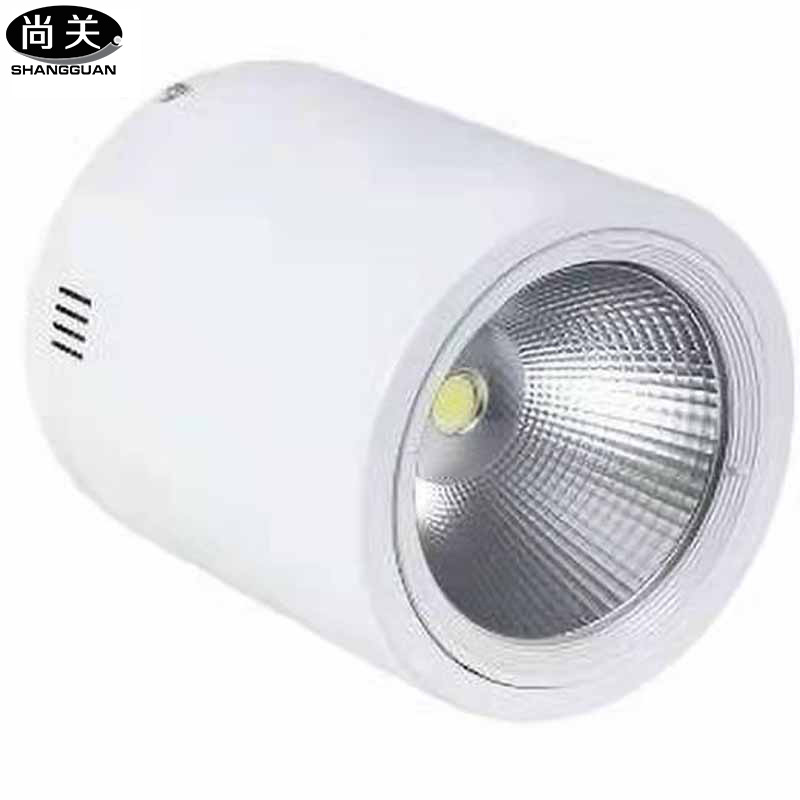 尚关(SHANGGUAN)LED 筒灯 SQ-Z04 50W高清大图