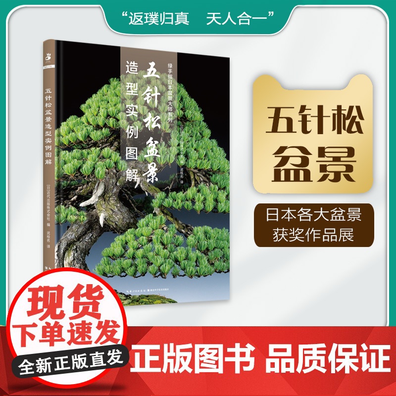 五针松盆景造型实例图解 绿手指日本盆景大师系列 武桂名译 中文版高清大图