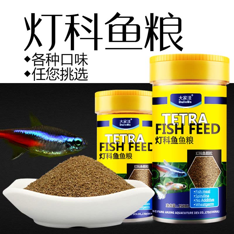 灯科鱼专用饲料鱼食小型鱼灯科鱼幼鱼开口饲料小型鱼热带鱼食缓沉图片