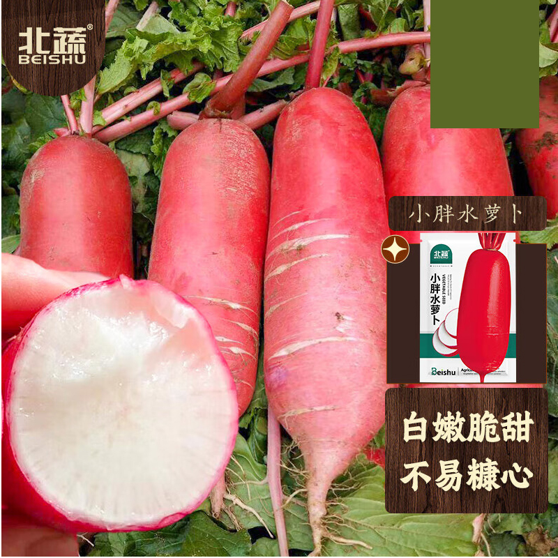 萝卜种子 白心满身红水萝卜 10g/袋高清大图