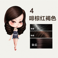 菲灵(FEELING) 翡丽彩泡泡染发剂 4-啡棕红褐色(自然养护染发 温和配方健康遮白低刺激)