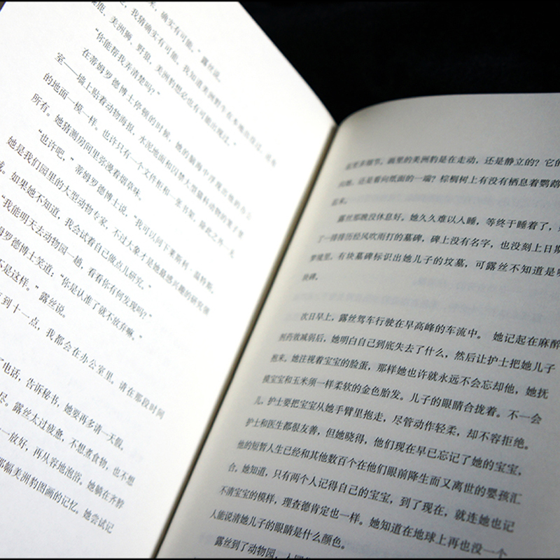 [正版] 炽焰燃烧 短经典精选 获弗兰克•奥康纳国际短篇小说奖 美国南方文学作家罗恩•拉什著 外国文学短篇小说集书高清大图