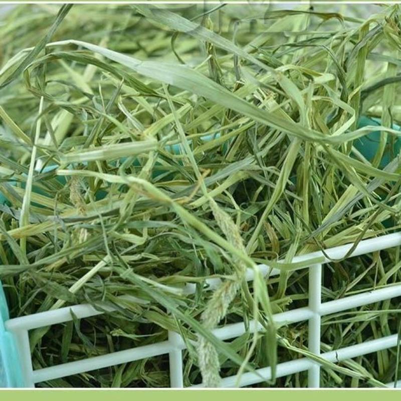 苜蓿草烘干苜蓿草1kg箱幼兔兔粮饲料牧草干草兔子龙猫荷兰猪提摩西草